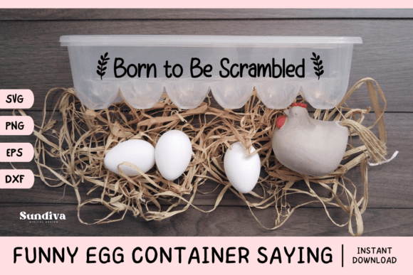 Funny Egg Container Saying SVG 25
